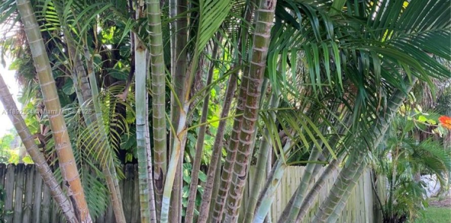 Casa en Dania Beach, Florida 3 dormitorios, 103.86 m2 № 1946257