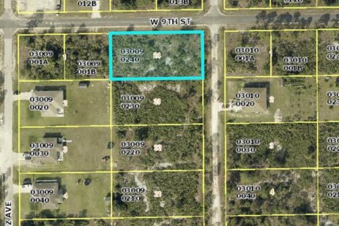 Land in Lehigh Acres, Florida № 1192588 - photo 3