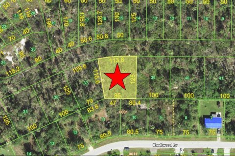 Land in Punta Gorda, Florida № 2163970