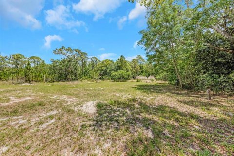 Casa en venta en New Port Richey, Florida, 6 dormitorios, 191.19 m2 № 2094907 - foto 5