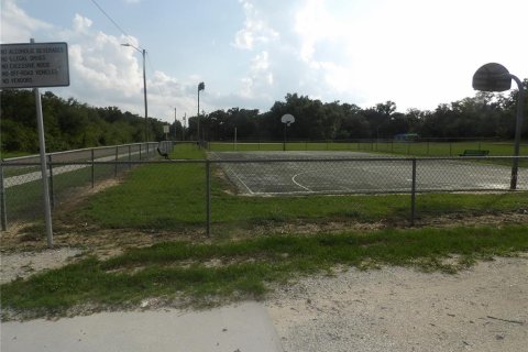 Land in Bartow, Florida № 2159089 - photo 2