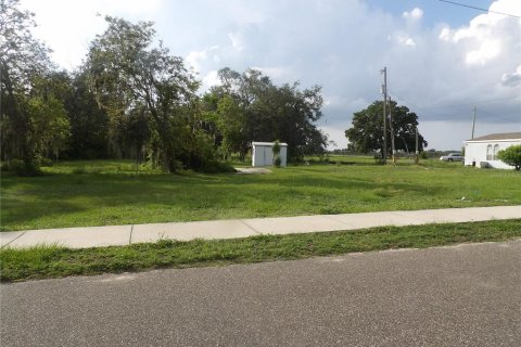Land in Bartow, Florida № 2159089