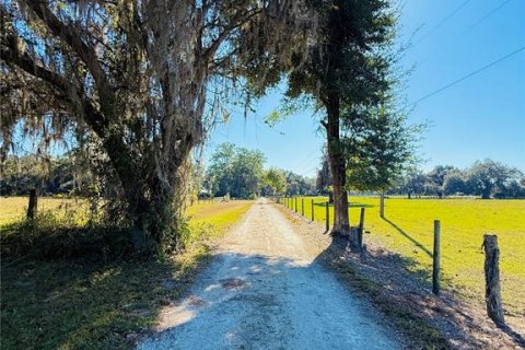Villa ou maison à vendre à Bushnell, Floride: 6 chambres, 1094.02 m2 № 2118524 - photo 5
