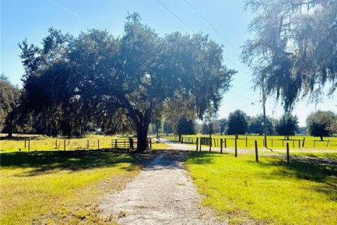 Villa ou maison à vendre à Bushnell, Floride: 6 chambres, 1094.02 m2 № 2118524 - photo 4