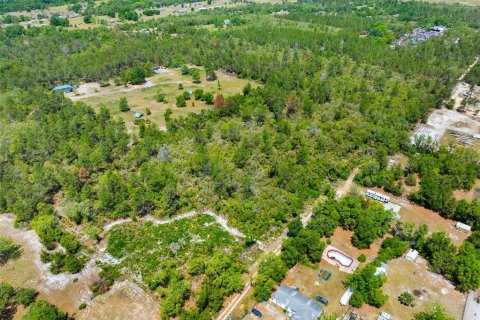Land in Umatilla, Florida № 1651412 - photo 9