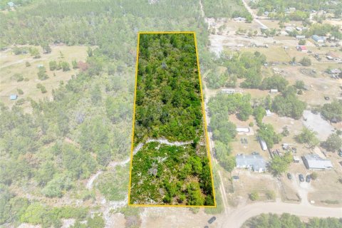 Land in Umatilla, Florida № 1651412 - photo 2