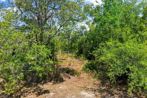 Land in Umatilla, Florida № 1651412 - photo 1