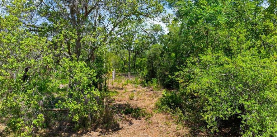 Land in Umatilla, Florida № 1651412