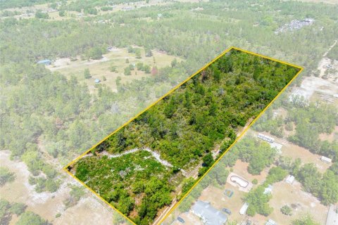 Land in Umatilla, Florida № 1651412 - photo 8