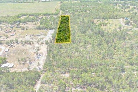 Land in Umatilla, Florida № 1651412 - photo 4