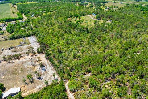 Land in Umatilla, Florida № 1651412 - photo 7