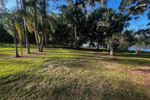 Land in Lutz, Florida № 1742861 - photo 2