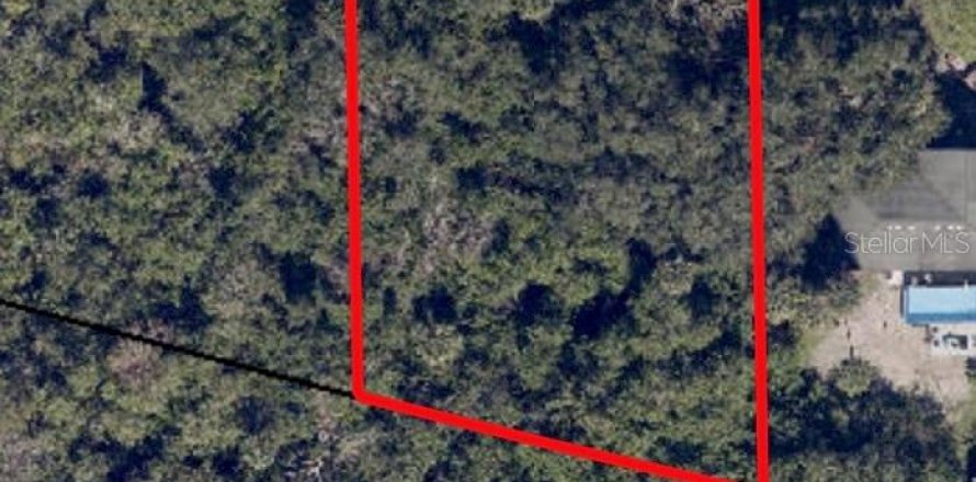 Terrain à Cocoa, Floride № 2213947