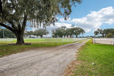 Villa ou maison à vendre à Dover, Floride: 2 chambres, 140.47 m2 № 2434519 - photo 25