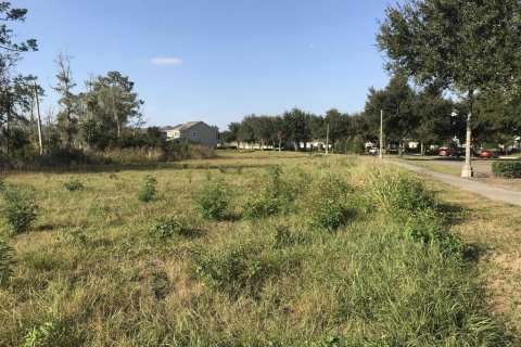Land in Oviedo, Florida № 2298534