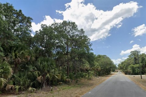 Land in Port Charlotte, Florida № 2161250