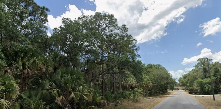 Land in Port Charlotte, Florida № 2161250