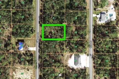 Land in Port Charlotte, Florida № 2161250 - photo 2