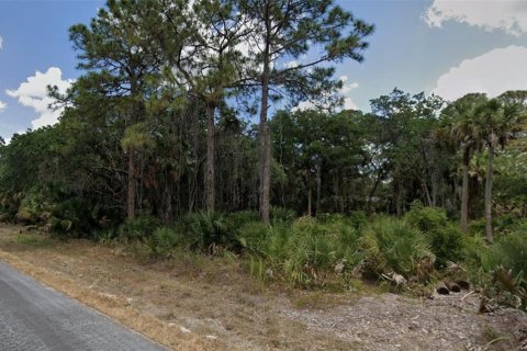 Land in Port Charlotte, Florida № 2161250 - photo 3