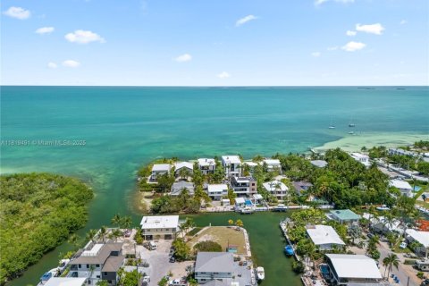 Land in Islamorada, Village of Islands, Florida № 1779696 - photo 3