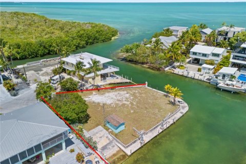 Land in Islamorada, Village of Islands, Florida № 1779696 - photo 1