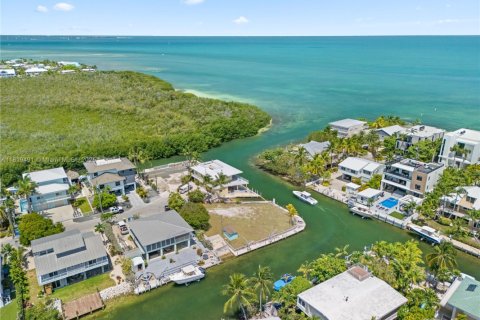 Land in Islamorada, Village of Islands, Florida № 1779696 - photo 2