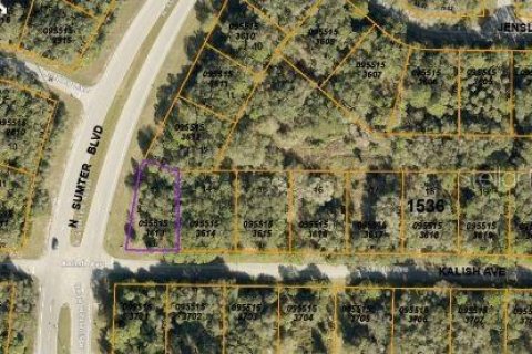 Land in North Port, Florida № 2164878 - photo 3
