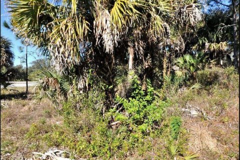 Land in North Port, Florida № 2164878 - photo 2
