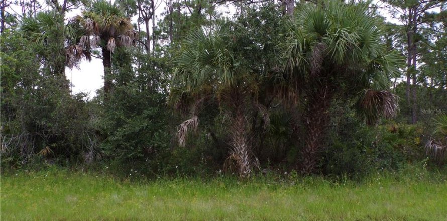 Land in Port Charlotte, Florida № 2224244