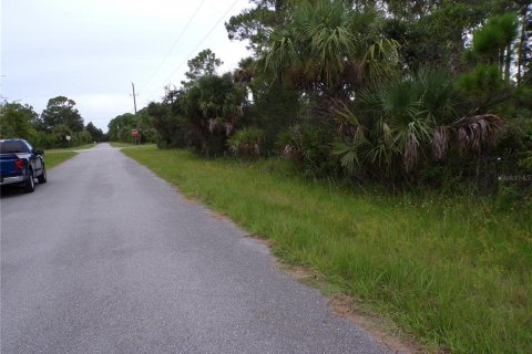 Land in Port Charlotte, Florida № 2224244 - photo 10
