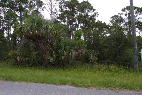 Land in Port Charlotte, Florida № 2224244 - photo 8