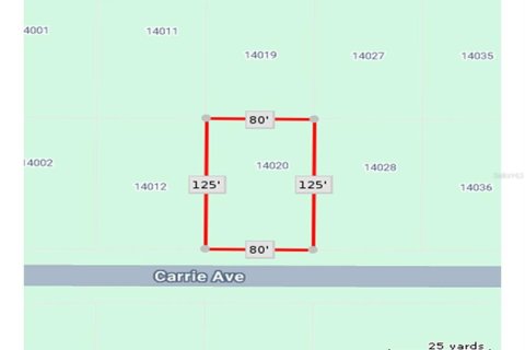 Land in Port Charlotte, Florida № 2224244 - photo 14