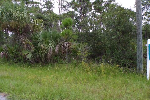Land in Port Charlotte, Florida № 2224244 - photo 6