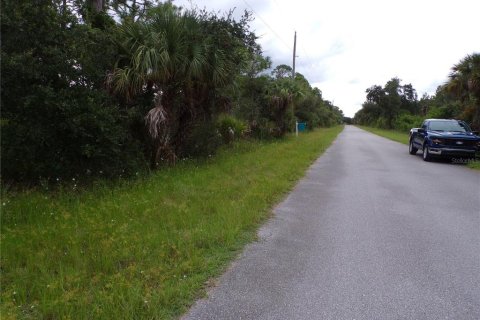 Land in Port Charlotte, Florida № 2224244 - photo 4