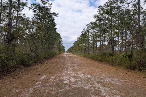 Terrain à Indian lake estates, Floride № 2235164