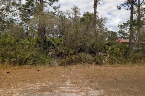 Terrain à vendre à Indian lake estates, Floride № 2235164 - photo 5