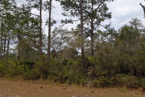 Terrain à vendre à Indian lake estates, Floride № 2235164 - photo 2