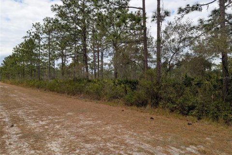 Terrain à vendre à Indian lake estates, Floride № 2235164 - photo 4
