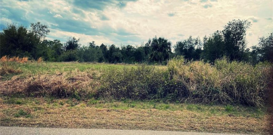 Terreno en Punta Gorda, Florida № 1553727