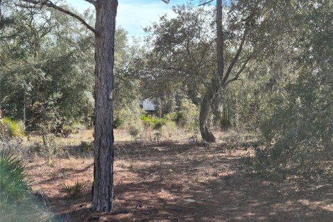 Land in Bronson, Florida № 2165444 - photo 6