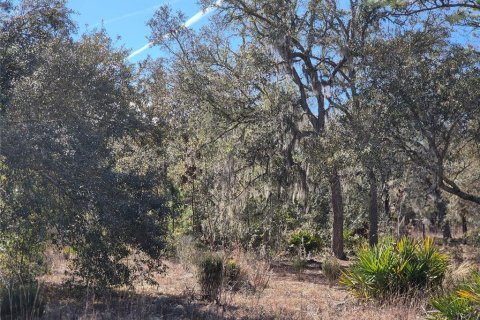 Land in Bronson, Florida № 2165444 - photo 3