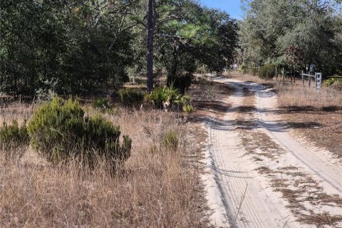 Land in Bronson, Florida № 2165444 - photo 4