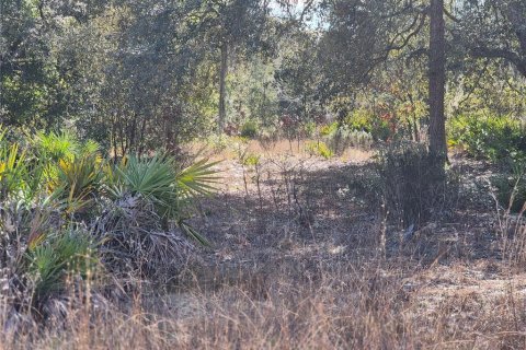 Land in Bronson, Florida № 2165444 - photo 2