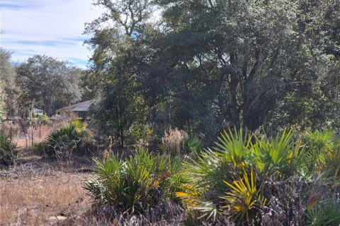Land in Bronson, Florida № 2165444