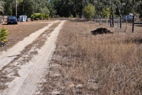Land in Bronson, Florida № 2165444 - photo 5