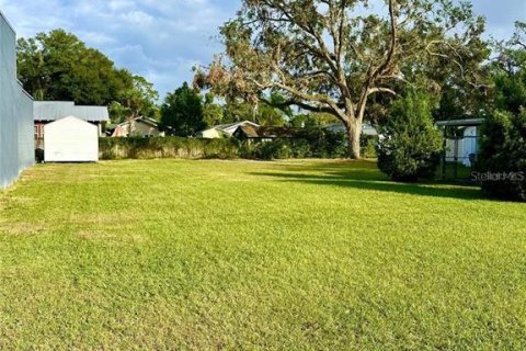 Land in Tampa, Florida № 2234177