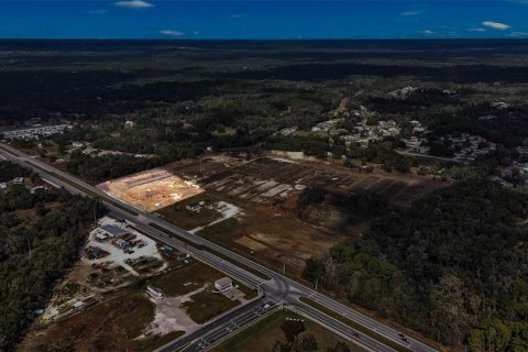 Land in Hernando, Florida № 1552132 - photo 2
