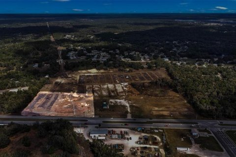 Land in Hernando, Florida № 1552132 - photo 3