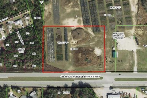 Land in Hernando, Florida № 1552132 - photo 4