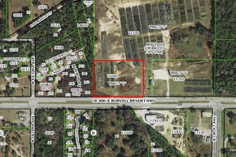 Land in Hernando, Florida № 1552132 - photo 5
